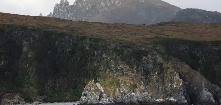 Les choses à faire lors d’un voyage au Cap Horn