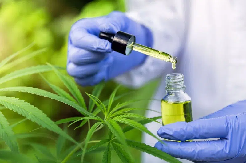 Quels sont les effets du CBD Bio pour la santé