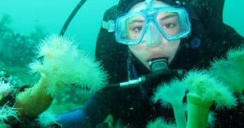 Intégrer une école de plongée : incontournable pour faire de la plongée sous-marine