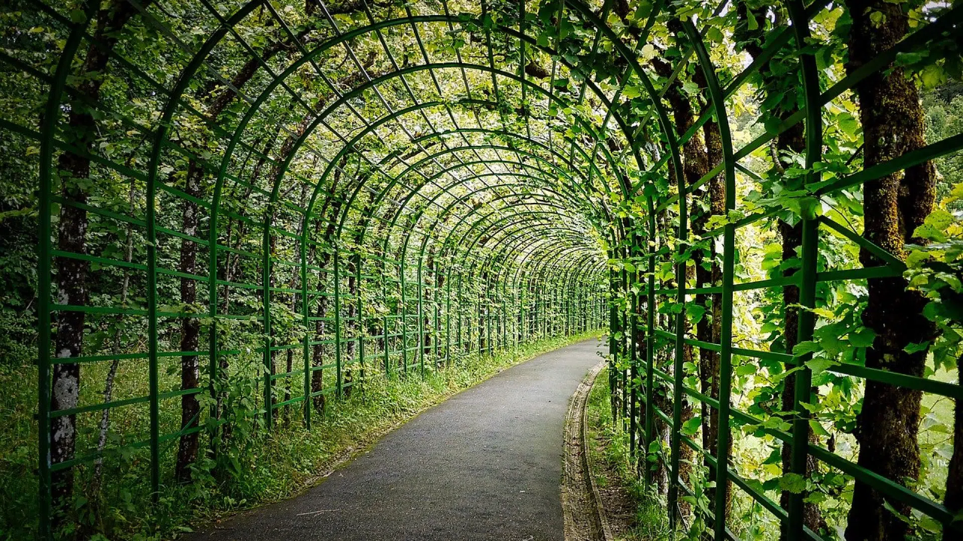 Que faut-il faire pour bien choisir sa pergola ?